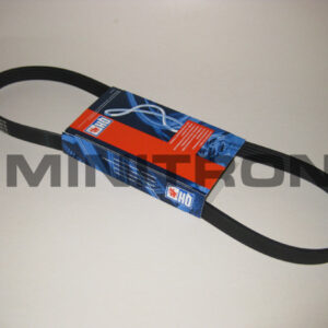 MPi_belt